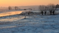 064_Biebrza - marzec 2013